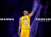 开云体育官方网站-爵士强压黄蜂，爱德华兹狂飙50分刷新队史纪录