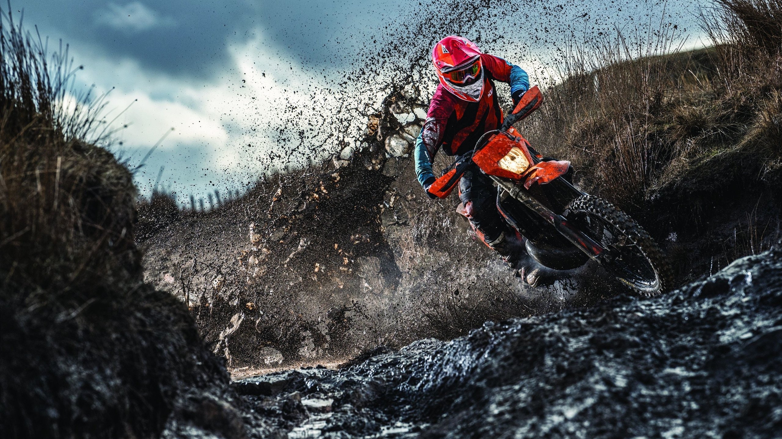 伦纳德冰封北境狼群，当凯尔特人遭遇森林狼，他用实力重定义唯一性